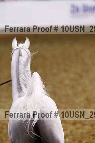 Proof 10usn_29220