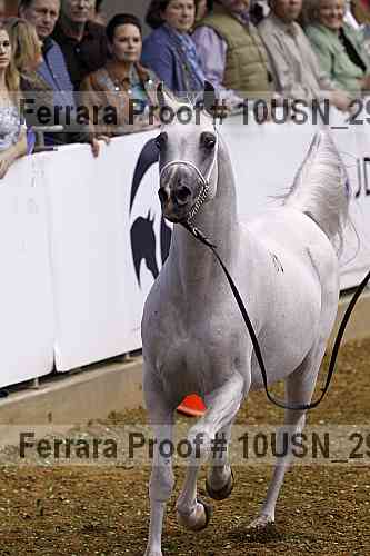 Proof 10usn_29222