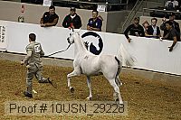 10usn_29228 proof