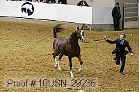 10usn_29235 proof
