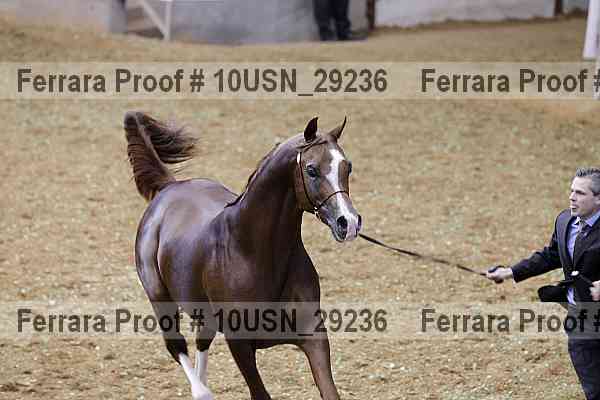 Proof 10usn_29236