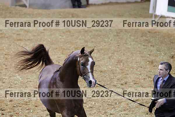 Proof 10usn_29237