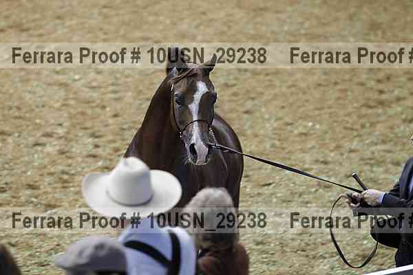 Proof 10usn_29238