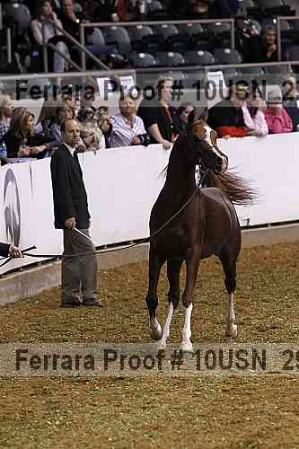 Proof 10usn_29239