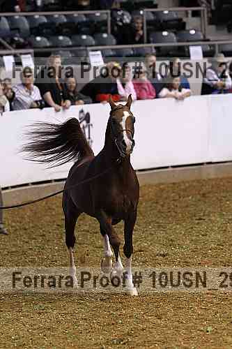 Proof 10usn_29241