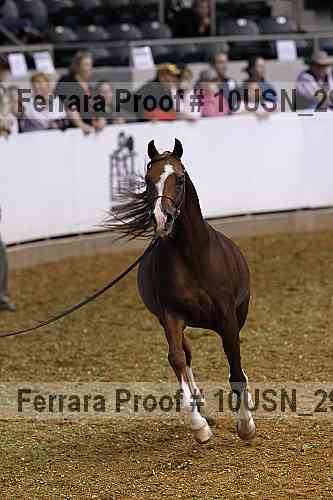 Proof 10usn_29243