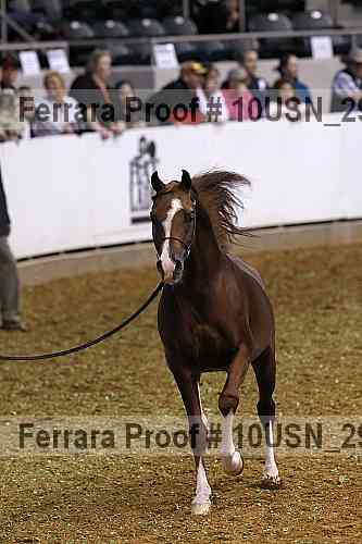 Proof 10usn_29244