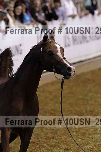 Proof 10usn_29248