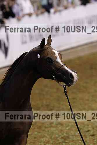 Proof 10usn_29249