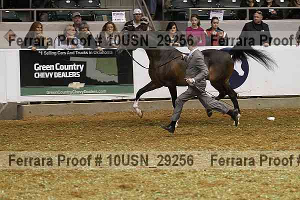 Proof 10usn_29256