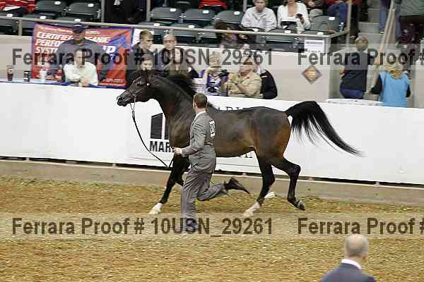 Proof 10usn_29261