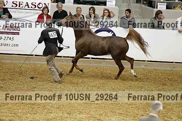 Proof 10usn_29264