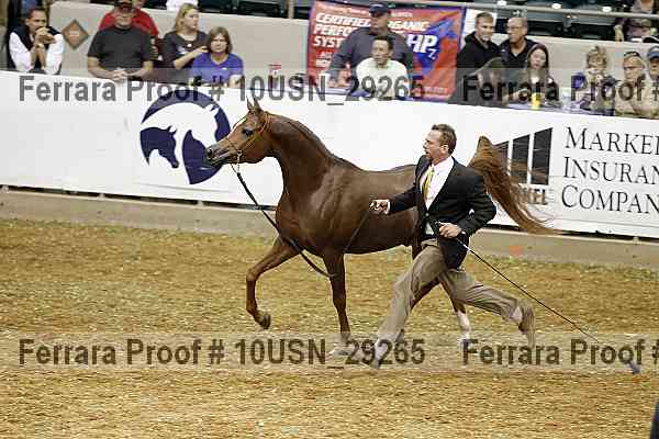 Proof 10usn_29265