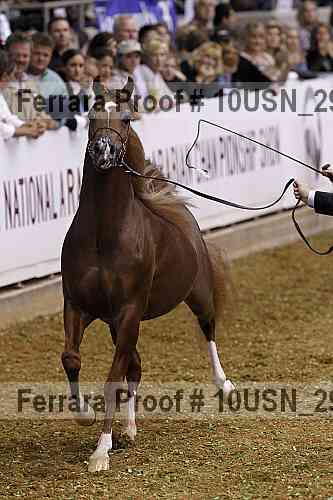 Proof 10usn_29268