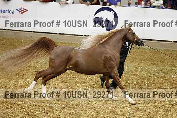 Proof 10usn_29271