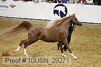 10usn_29271 proof