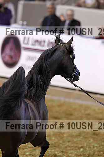 Proof 10usn_29281