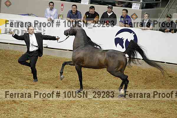 Proof 10usn_29283