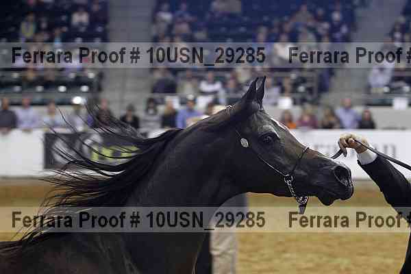 Proof 10usn_29285