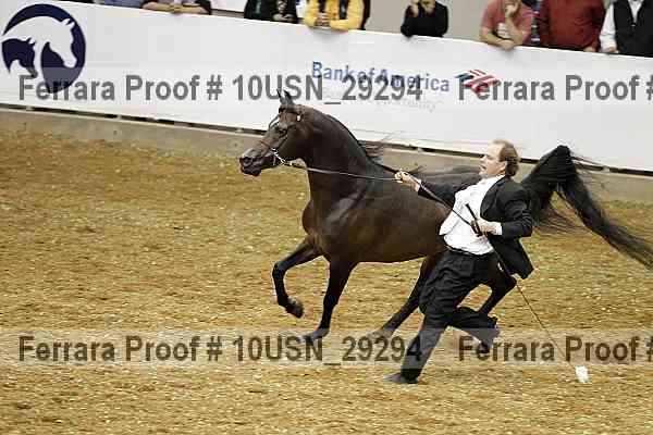 Proof 10usn_29294