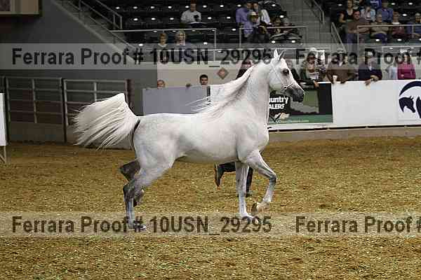 Proof 10usn_29295
