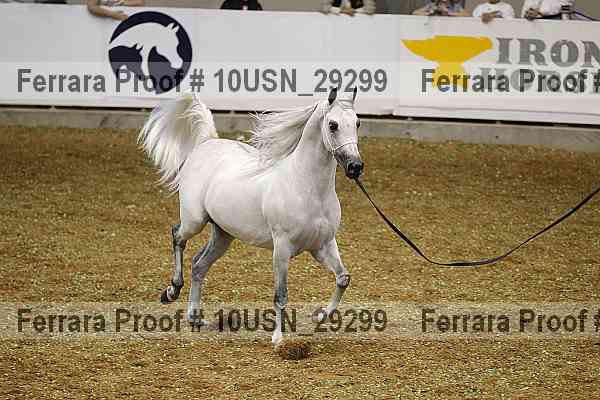 Proof 10usn_29299