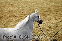 10usn_29305 proof