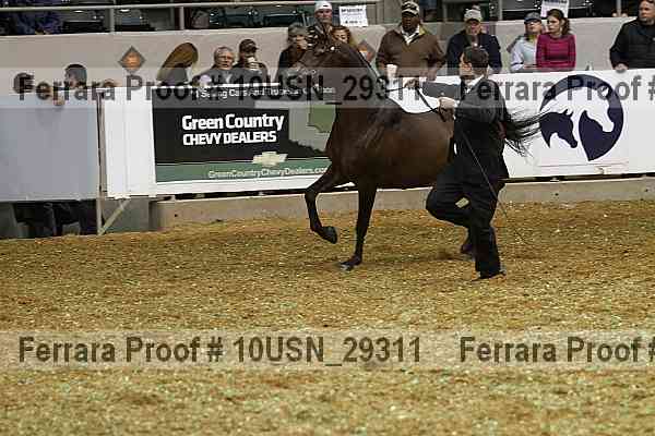 Proof 10usn_29311