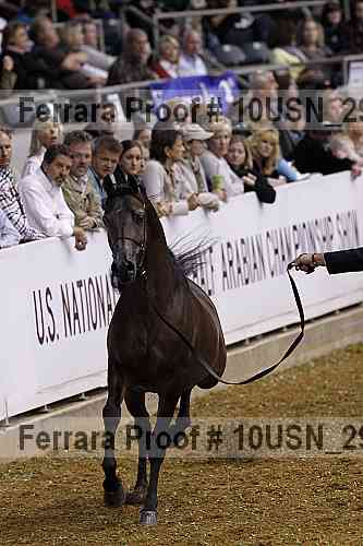 Proof 10usn_29314