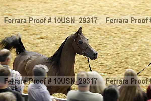Proof 10usn_29317
