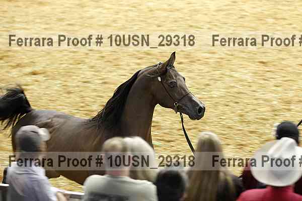 Proof 10usn_29318