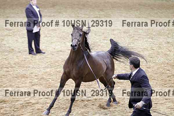 Proof 10usn_29319