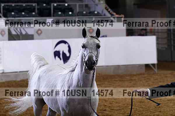 Proof 10usn_14574