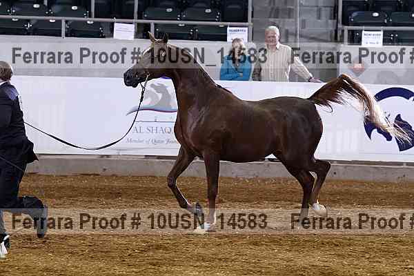 Proof 10usn_14583