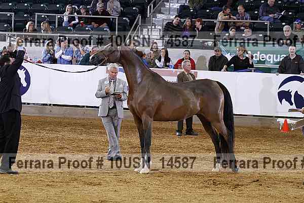 Proof 10usn_14587