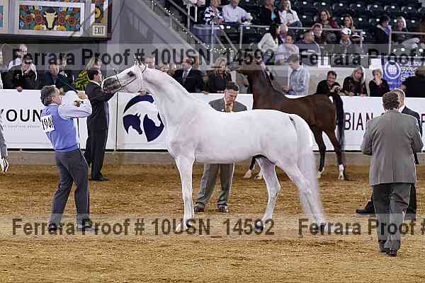 Proof 10usn_14592