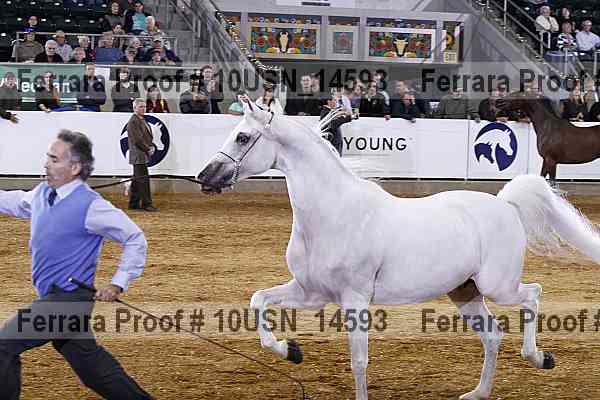Proof 10usn_14593