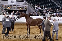10usn_14599 proof