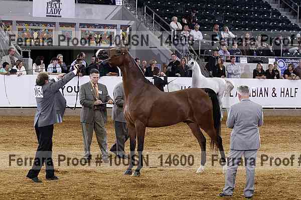 Proof 10usn_14600