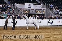 10usn_14601 proof