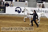 10usn_20389 proof
