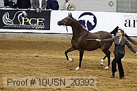 10usn_20392 proof