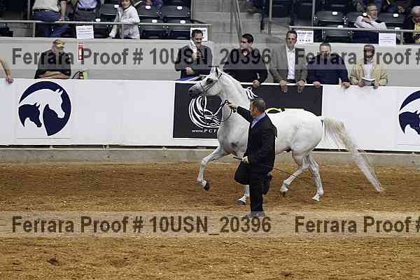 Proof 10usn_20396