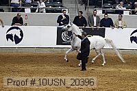 10usn_20396 proof