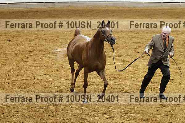 Proof 10usn_20401