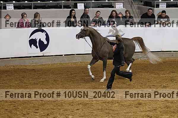 Proof 10usn_20402
