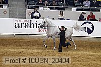 10usn_20404 proof
