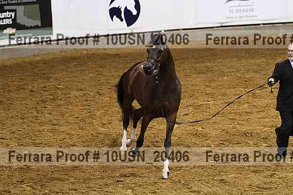Proof 10usn_20406