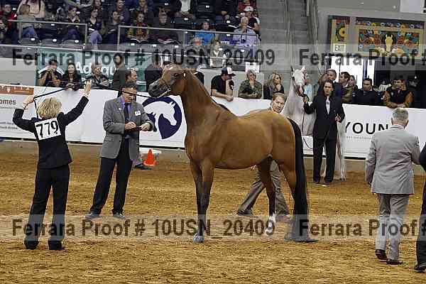 Proof 10usn_20409