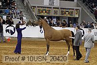 10usn_20420 proof